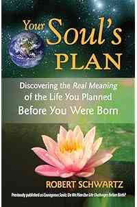 Your Soul's Plan: Discovering the Real Meaning of the Life You Planned Before You Were Born