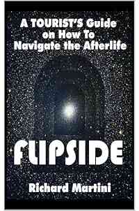 Flipside : A Tourist's Guide on How to Navigate the Afterlife