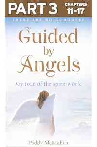 Guided By Angels: Part 3 of 3: There Are No Goodbyes, My Tour of the Spirit World