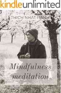 Mindfulness meditation: Intimate conversations with the Buddha