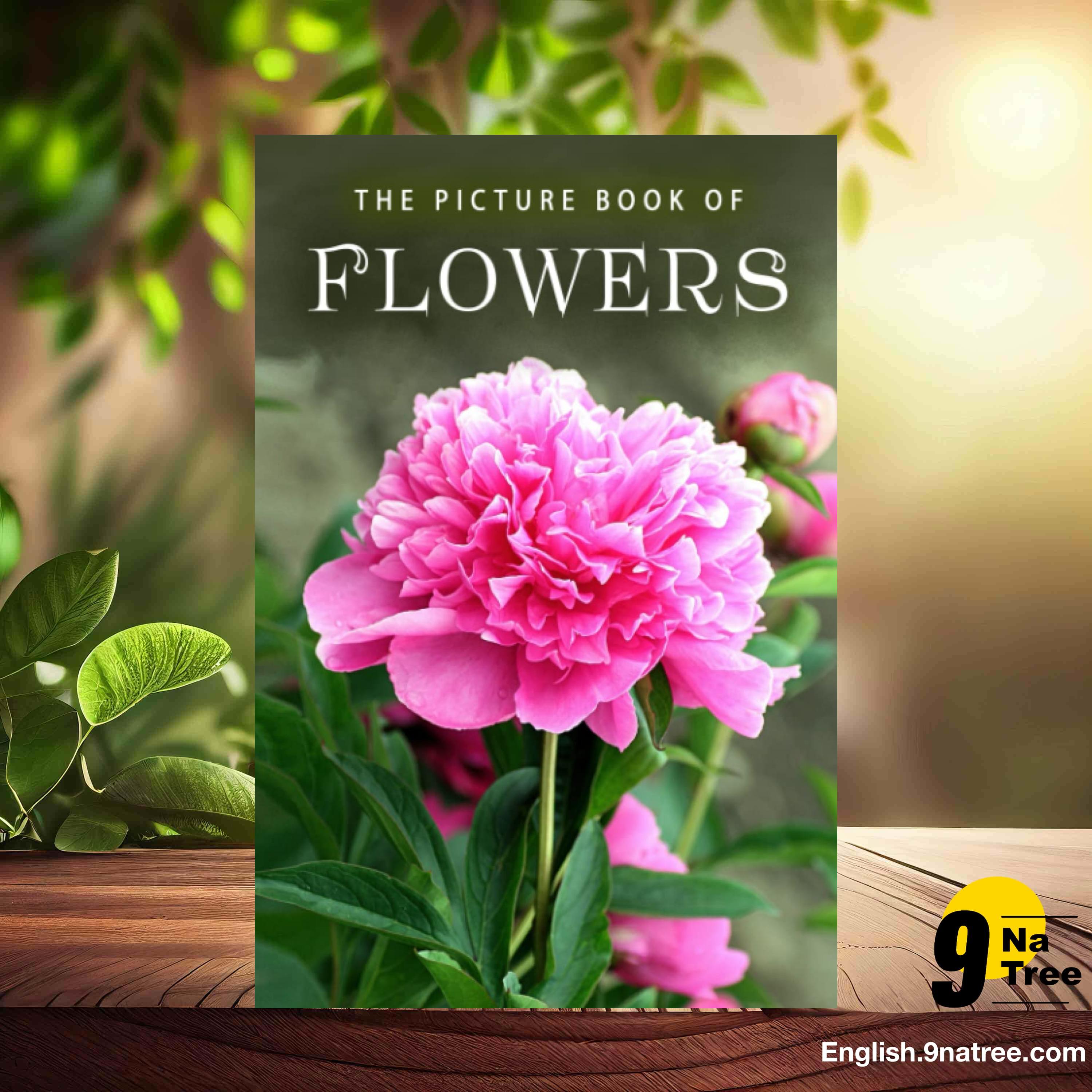 [Review] The Picture Book of Flowers (Sunny Street Books) Summarized. episode artwork